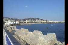  vieux port
