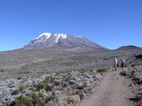 arusha kibo summit