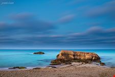  cala tarida