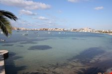  talamanca