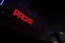  pacha