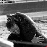  marineland
