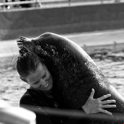 Marineland Cannes dumbs34 - Attribution-NonCommercial-NoDerivs (http://creativecommons.org/licenses/by-nc-nd/2.0/) dumbs34
