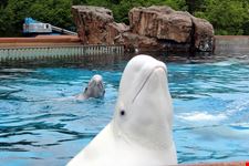  marineland