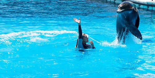  marineland