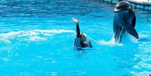  marineland