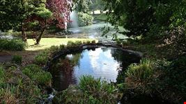  sefton park