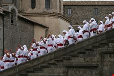  museo facchini s rosa