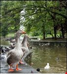  parque de dona casilda de iturrizar
