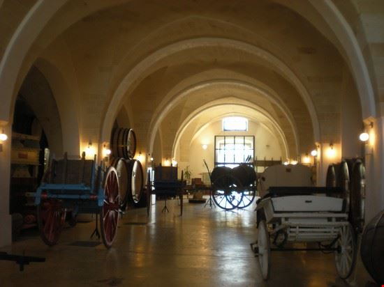Museo della Civiltà del Vino Primitivo