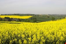 Paesaggio primaverile