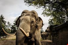  hamburg zoo