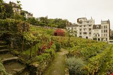  the viticulture museum of stuttgart