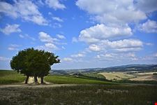  i dintorni