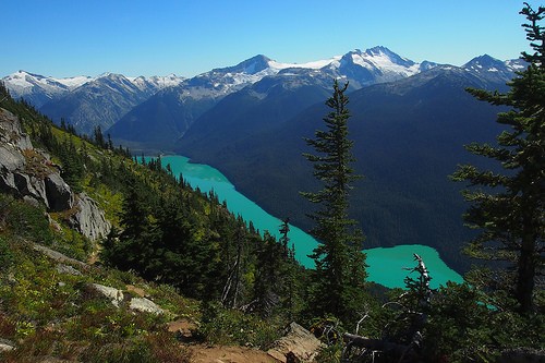  whistler