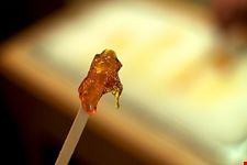  canadian maple delights