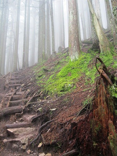  grouse mountain