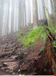  grouse mountain