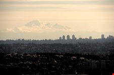  lookout