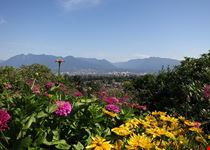  queen elizabeth park