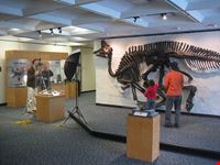  museo del pacifico