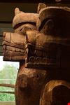  museo di antropologia
