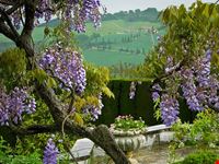  la foce