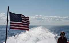  whale watching