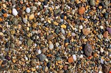  cape cod