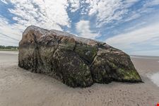  cape cod