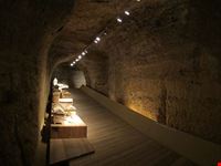 siena museo archeologico nazionale di siena