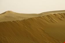  al badeyah