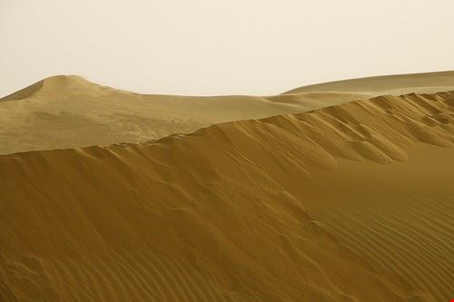 Al Badeyah Abu Dhabi xopherlance - Attribution-NonCommercial-NoDerivs (http://creativecommons.org/licenses/by-nc-nd/2.0/) xopherlance