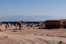  abu galum