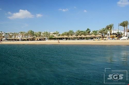  Sharm El Sheikh cpadula - Attribution License (http://creativecommons.org/licenses/by/2.0/) cpadula