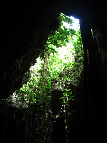 i cenote