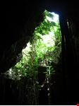  i cenote