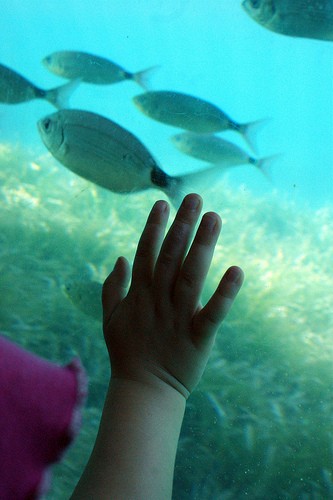  aquascope sottomarino