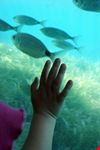  aquascope sottomarino