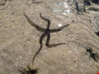  spiagge consigliate