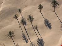  dal mare di djerba al grande erg