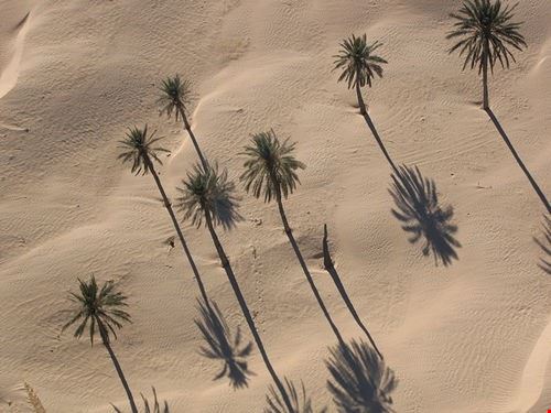 Dal mare di Djerba al Grande Erg - wgoodwin - wgoodwin - Attribution-NonCommercial-NoDerivs (http://creativecommons.org/licenses/by-nc-nd/2.0/)