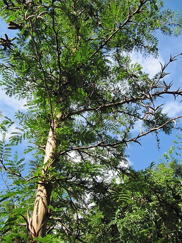  la natura circostante