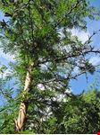  la natura circostante