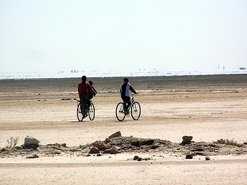  una natura insolita da scoprire pedalando