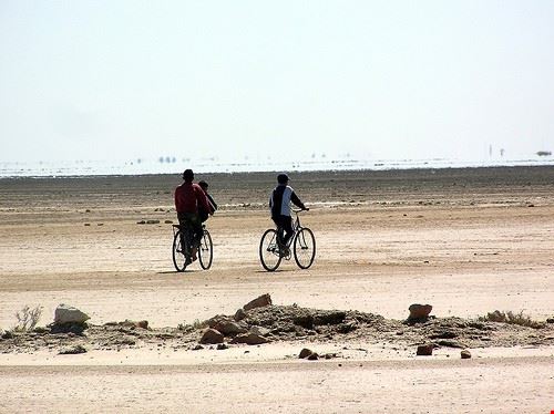 Una natura insolita da scoprire pedalando Djerba sky#walker - Attribution-ShareAlike License (http://creativecommons.org/licenses/by-sa/2.0/) sky#walker