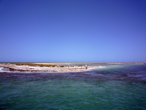  isola di flamingo
