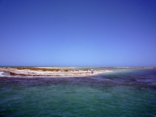 Isola di Flamingo Djerba Passion Leica - Attribution-NonCommercial-NoDerivs (http://creativecommons.org/licenses/by-nc-nd/2.0/) Passion Leica