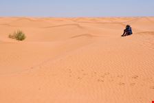  gita nel deserto