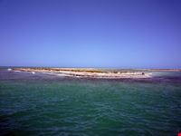  isola dei lotofagi